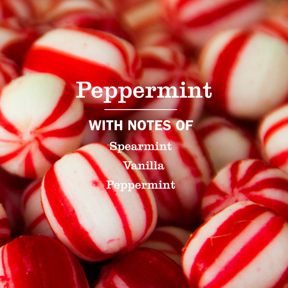 Mrs. Meyer's Peppermint Liquid Hand Soap